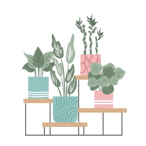 Premium Vector Hand Drawn Indoor House Plant Collection Pots And Shelves