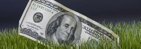 How Your Artificial Turf Saved You Money For Black Friday Oc Turf