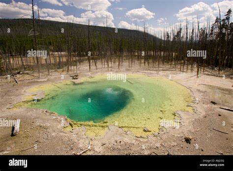 Cistern Spring In The Norris Geyser Basin Yellowstone National Park