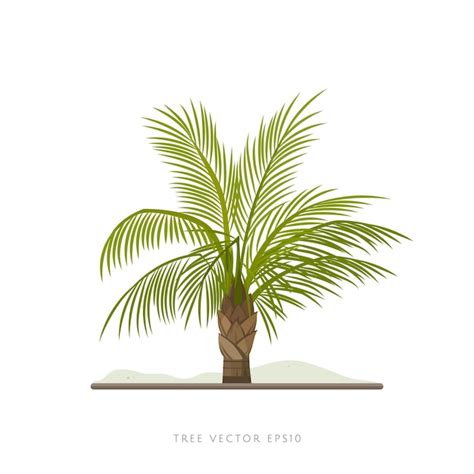 Ilustración de vector de palmera aislada sobre fondo blanco Vector