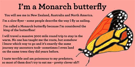 Monarch Butterfly Facts