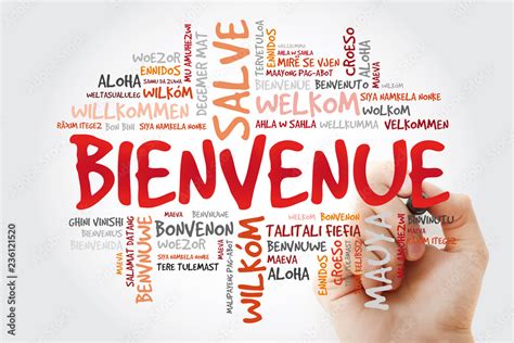 Bienvenue Welcome In French Word Cloud With Marker In Different