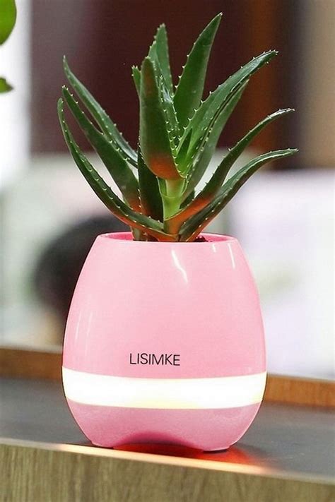 18 Stylish Indoor Flower Pots Affordable Indoor Pots For Your Plants