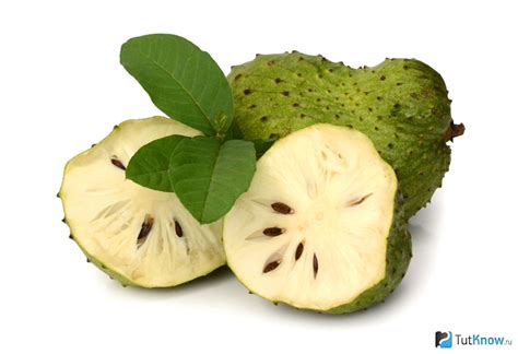 Саусеп Фрукт Полезные Свойства Фото – Telegraph