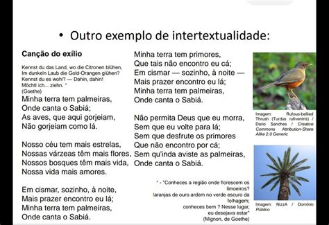 Parodias Do Poema Canção Do Exilio - Parodia Do Poema Canção Do Exilio - NAZAEDU