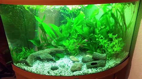 Aquarium beginners How to setup an aquarium Aquariumanfänger Wie