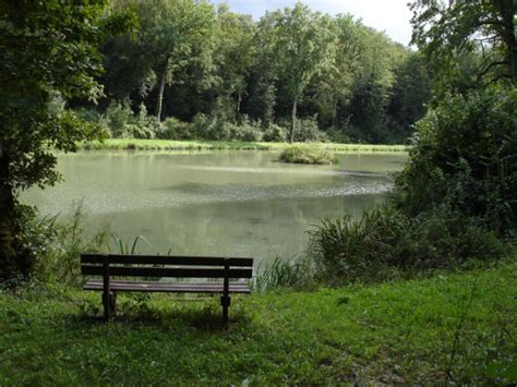 A faire L Étang des Moines au départ de Kœur Parcours vélo VTT