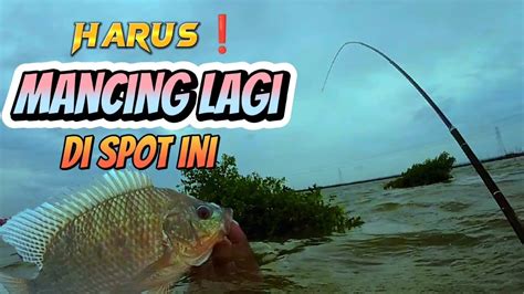 Mancing Ikan Nila Saat Angin Kencang Fishing For Tilapia During