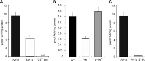 In vitro triacylglycerol lipase assays. A , analysis of TG lipase ...