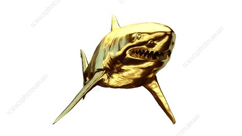 Golden shark, illustration - Stock Image - F038/3311 - Science Photo Library