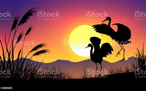 Birds Silhouette On Sunset Nature Background Stock Illustration - Download Image Now - Animal ...