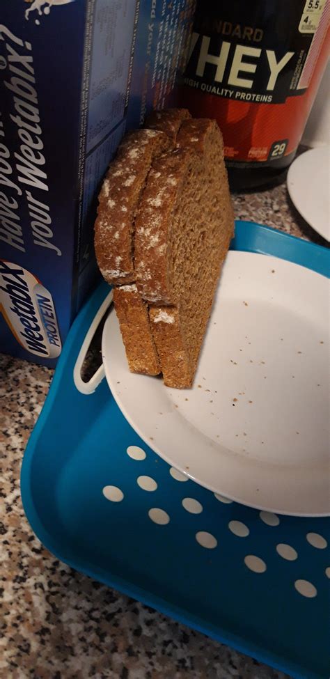 Is Bread Mold Bad For Dogs