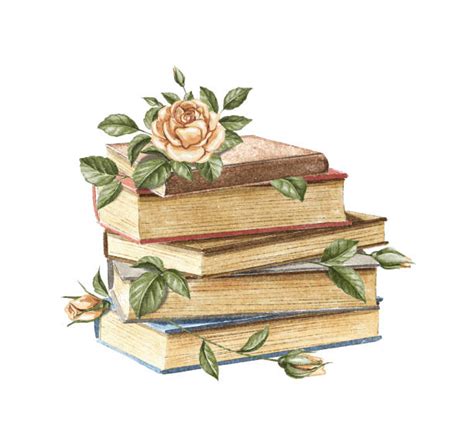 5 700 Old Book Illustrations Stock Illustrations Royalty Free Vector