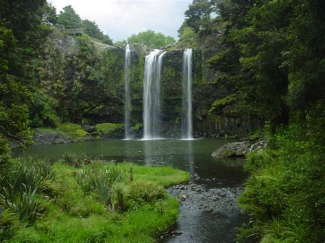 Whangarei Falls - Waterfall in a Suburban Park in Whangarei