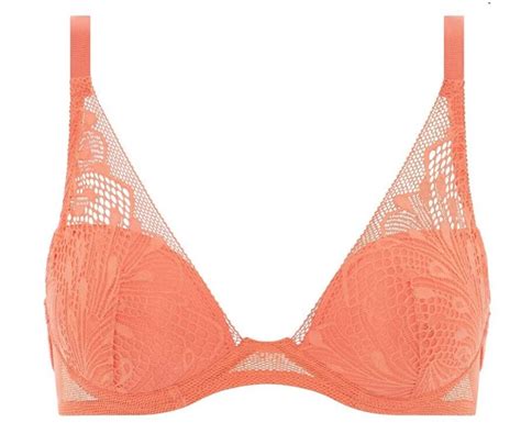 Passionata Thelma Plunge Bra Tangerine — Vanillafudge