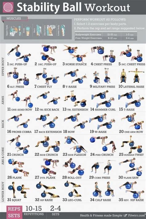 Laminated Dumbbell Exercise Poster Chart Lower Body Core Chest Back