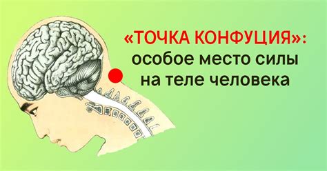 Биологически активные точки
