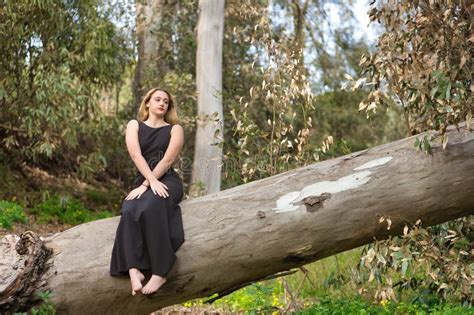 Jeune Femme Blonde Et Belle Avec Une Robe Noire Assise Sur Le Tronc D Un Grand Arbre Au Milieu