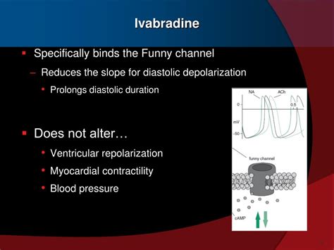 Mechanism Of Action Of Ivabradine