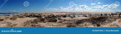 Anna Bay beach, Australia stock photo. Image of pacific - 85647062