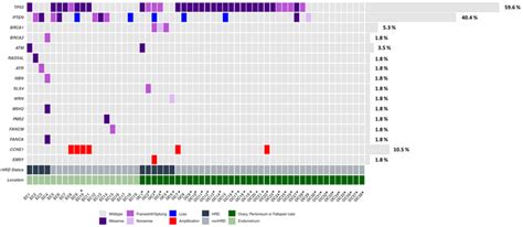 Oncoplot Of Genetic And Genomic Alterations Across The Genes Of The