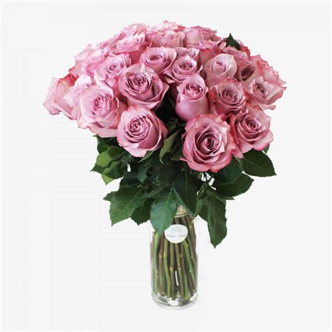 30 Purple Roses - Flower Shop Lilac