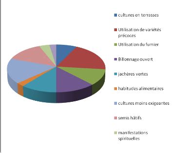 Memoire Online Vuln Rabilit Et Adaptation Des Activites