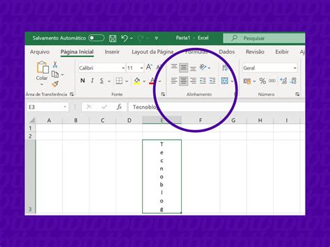 Como Inserir Texto No Excel