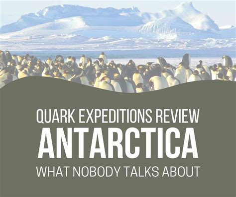 Quark Expeditions Antarctica Cruise Review - Top 5 Secrets Revealed ...