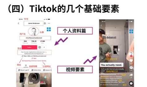 Tiktok数据分析（tiktok Analytics）终极使用指南 Tk0123跨境电商导航