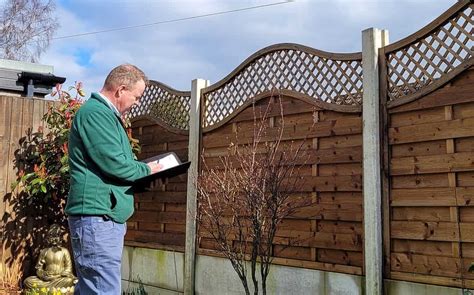 Effective Methods for Japanese Knotweed Eradication in the UK 2024 - Japanese Knotweed Plus