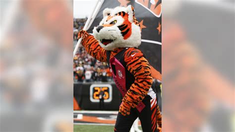 Bengals Mascot Name