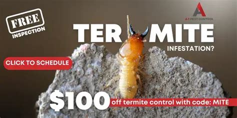 Termite Treatment And Prevention In Western Nc