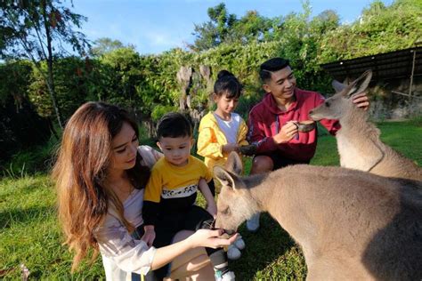 Taman Safari Prigen Info Lokasi Harga Tiket Terbaru