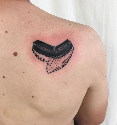 Update More Than Shark Tooth Tattoo Ideas In Cdgdbentre