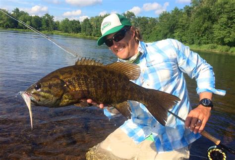 Big Smallmouth Bass Fly Fishing In Rivers Toflyfish