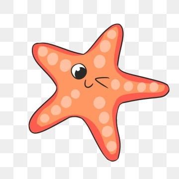 Baby Starfish Clipart Png