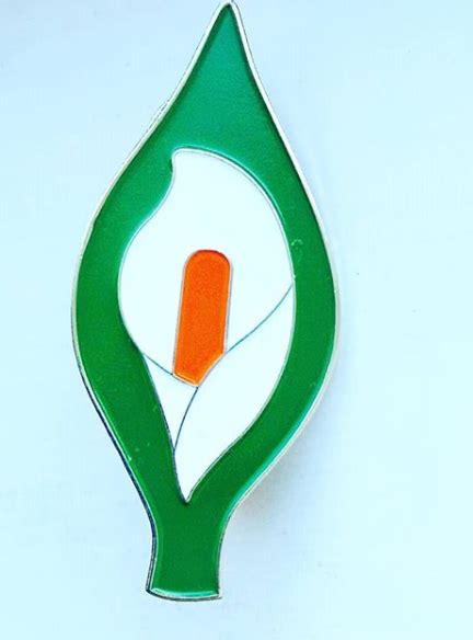 Large 60mm Easter Lily Enamel Pin Badge Irish Republican Rebel 1916