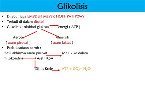 Ppt Nutrisi Bahan Pakan Protein Lemak Karbohidrat Vitamin Dan