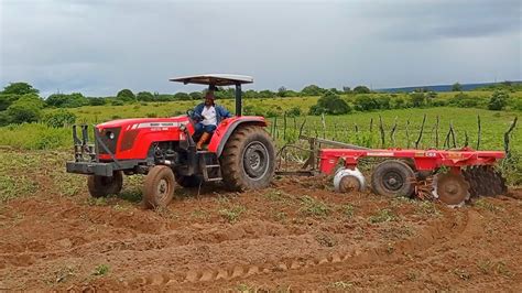 Trator Massey Ferguson Passando A Grade Para O Plantio De Milho Na