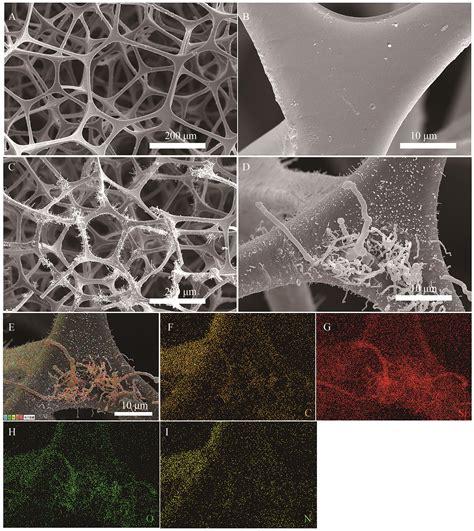 Design And Preparation Of Flame Retardant And Hydrophobic Melamine Foam