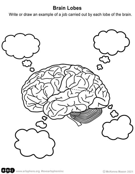 Lobes of the Brain Handout - Art Sphere Inc. - Worksheets Library