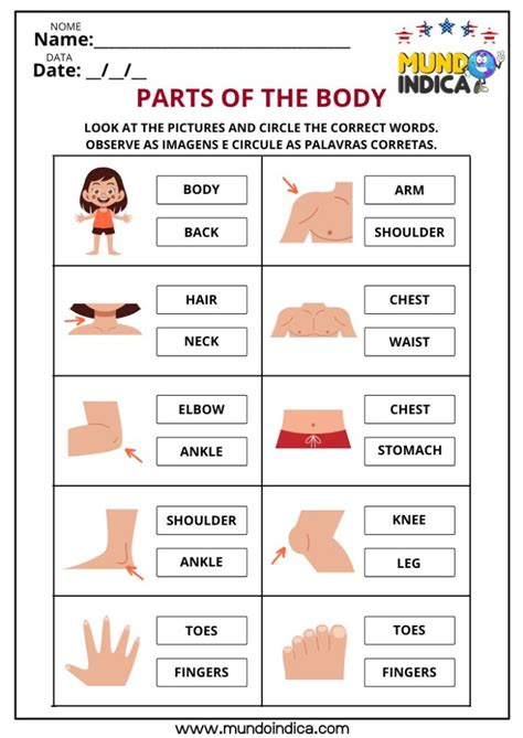 Atividade Partes Do Corpo Ingles - 10 Atividades de Inglês sobre Partes do Corpo Humano para Imprimir