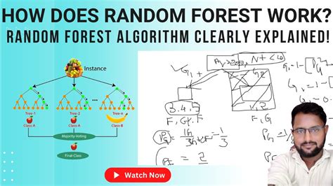 Complete Random Forest Algorithm Explained With Dataset Maths Behind