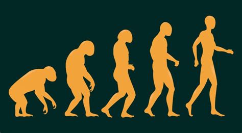 La théorie darwinienne de lEvolution a changé le monde Vie Espoir