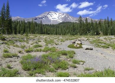 1+ Hundred Climbing Mount Shasta Royalty-Free Images, Stock Photos ...