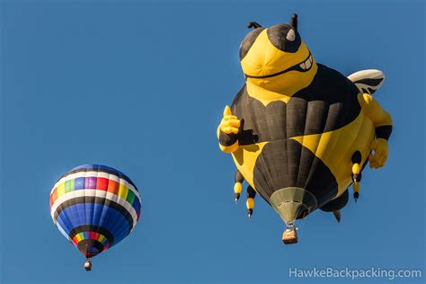 Special Shapes Rodeo, Albuquerque International Balloon Fiesta 2013 ...