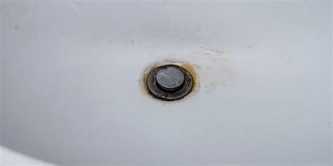 What Causes Black Mold In Sink Drains How To Get Rid Of It