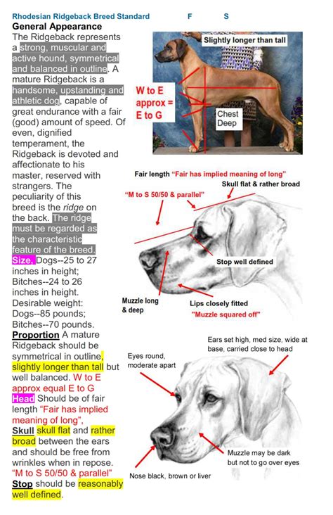 Rhodesian Ridgeback - Breed Standard Library