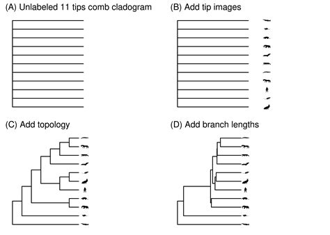 Chapter 2 Phylogenies Phylogenetic Biology